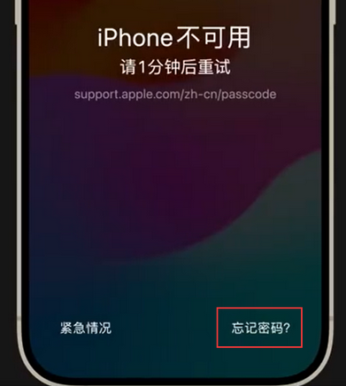 安龙苹果手机密码维修分享iPhone忘记了刚设置的密码 