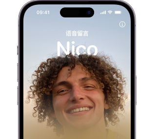 安龙苹果15服务站分享iPhone15实时语音留言开启方法 
